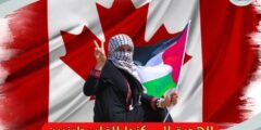 الهجرة الى كندا للفلسطينيين 2026: الشروط، الأوراق، وأهم المسارات الرسمية