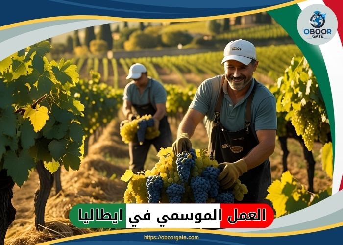 العمل الموسمي في ايطاليا