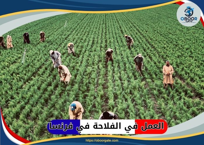 العمل في الفلاحة في فرنسا